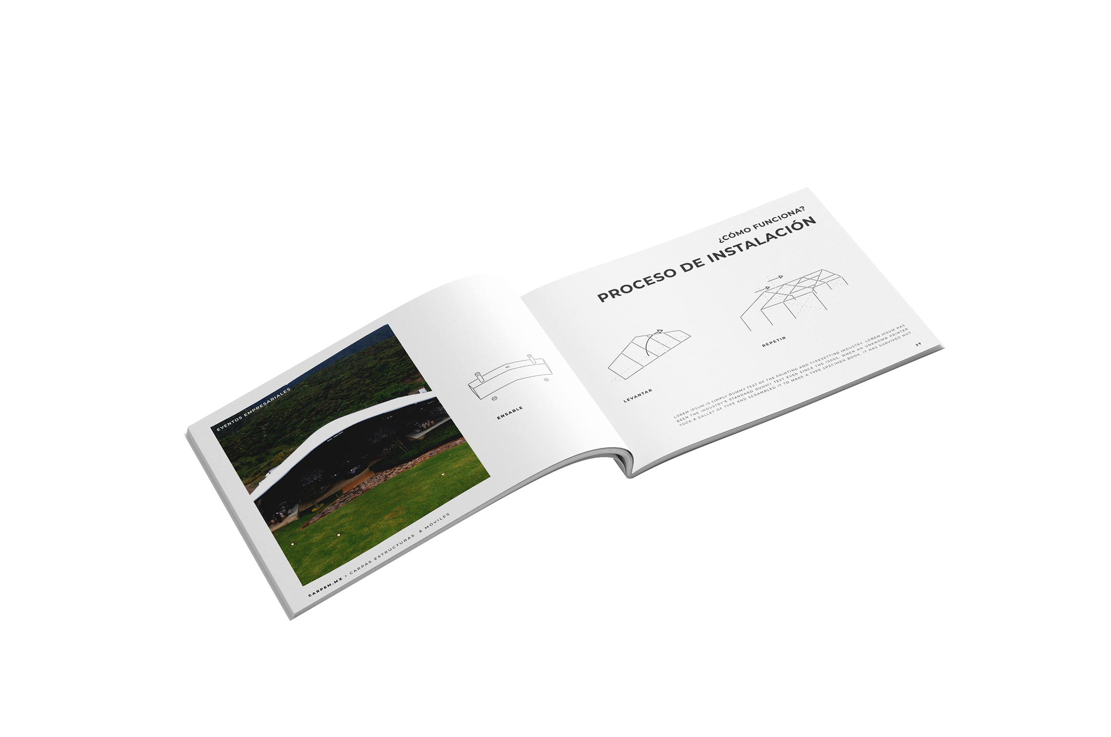 Francia Serrano Studio