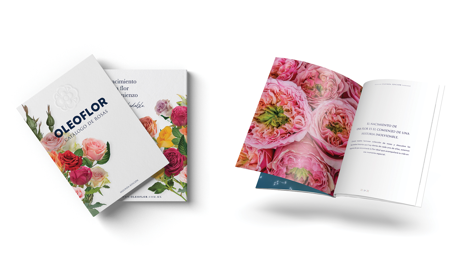 Oleoflor by Francia Serrano