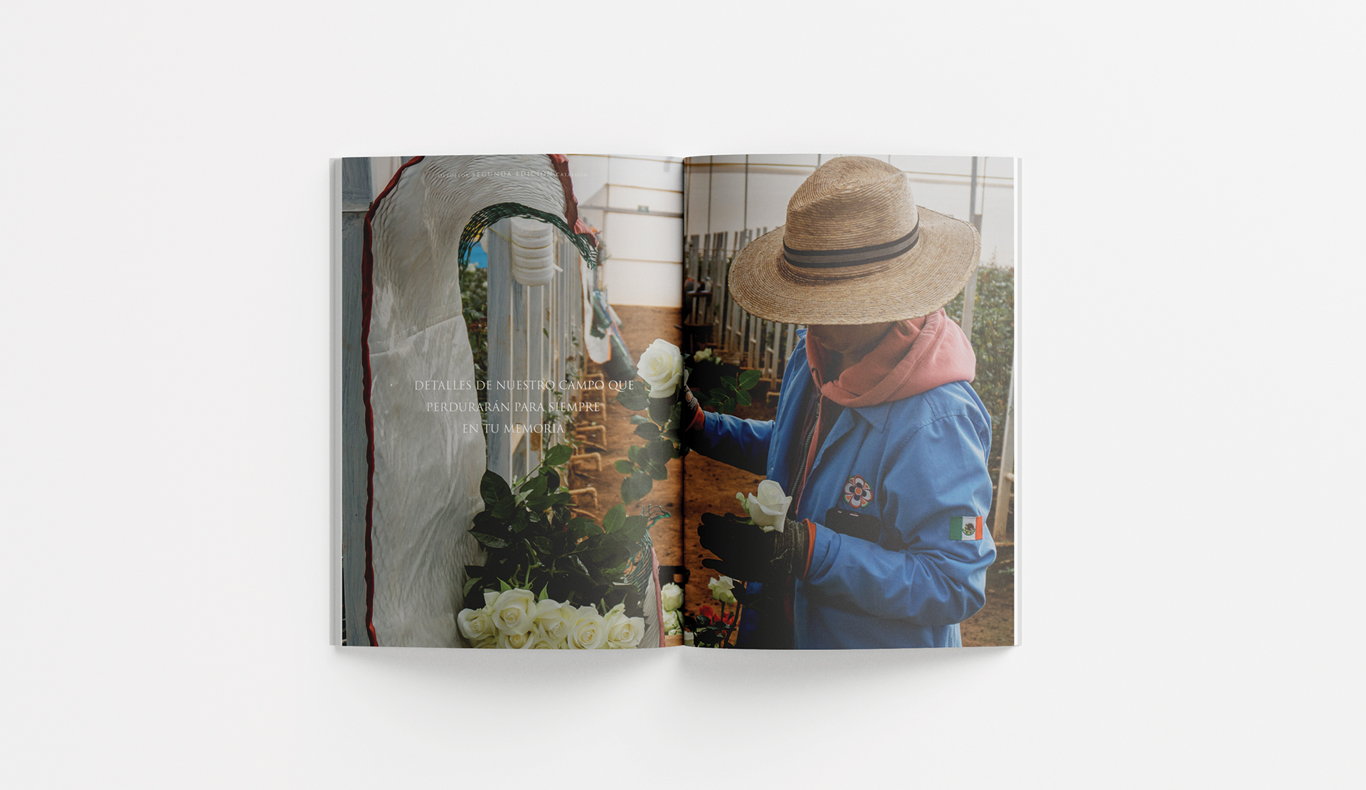 Oleoflor by Francia Serrano