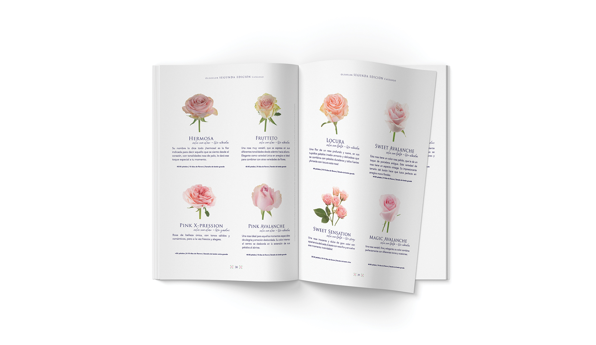 Oleoflor by Francia Serrano