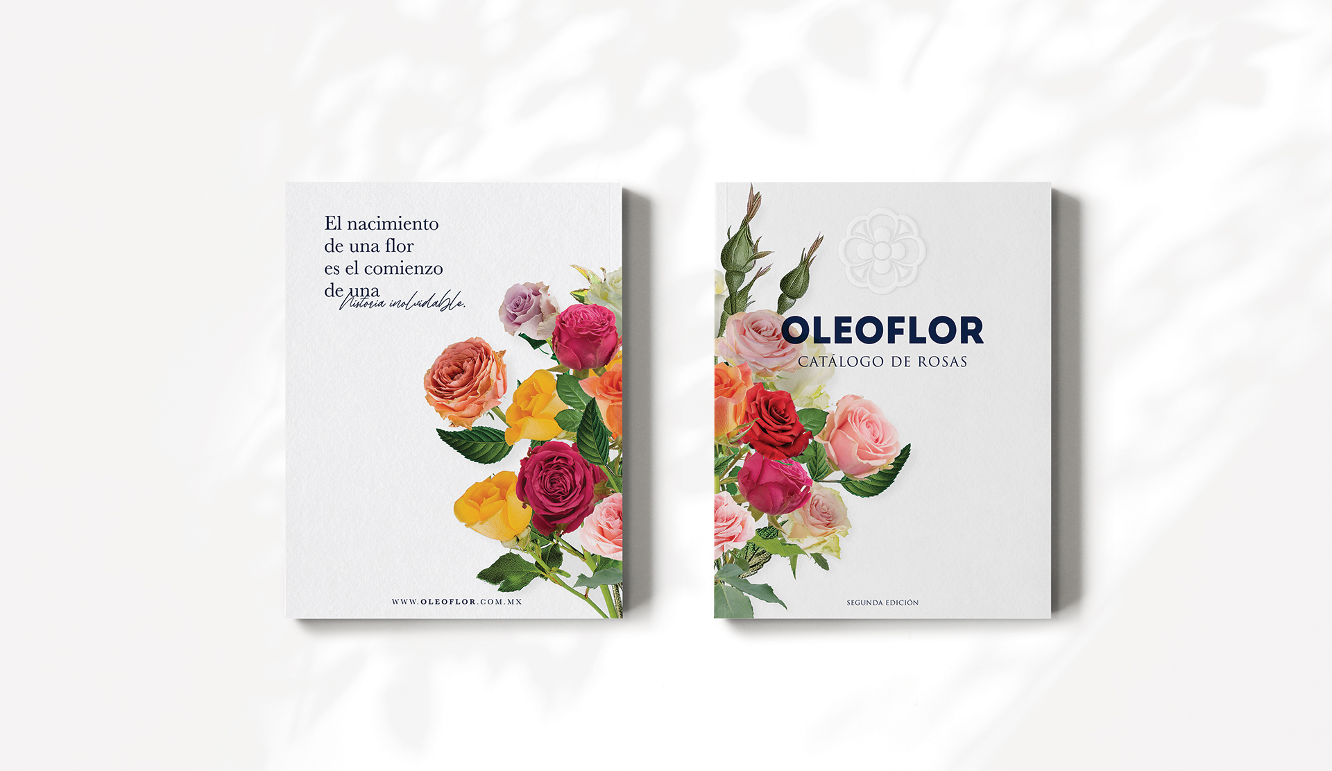 Oleoflor by Francia Serrano