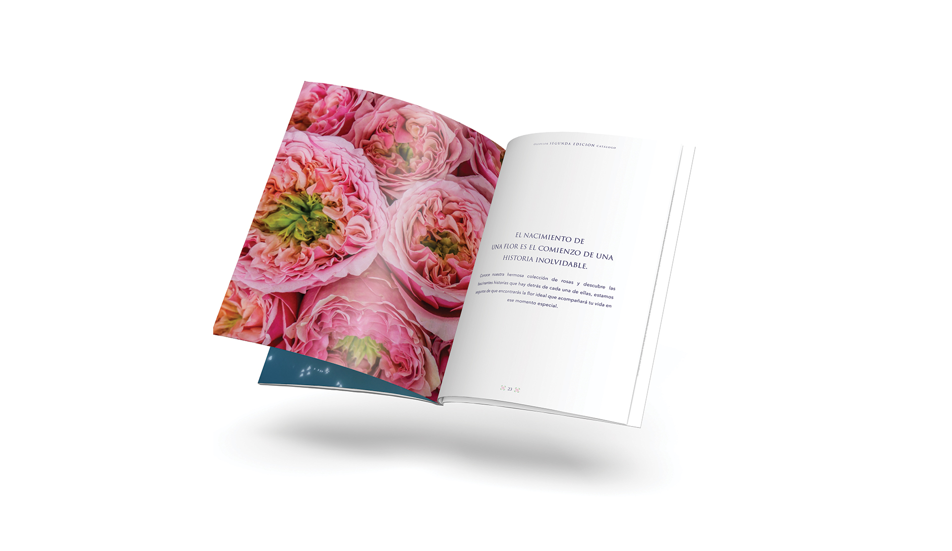 Oleoflor by Francia Serrano