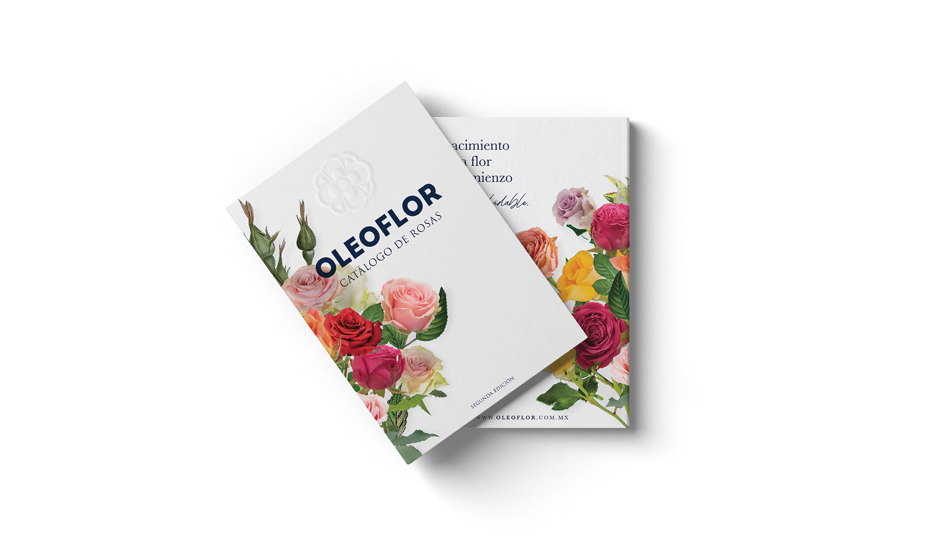 Oleoflor by Francia Serrano