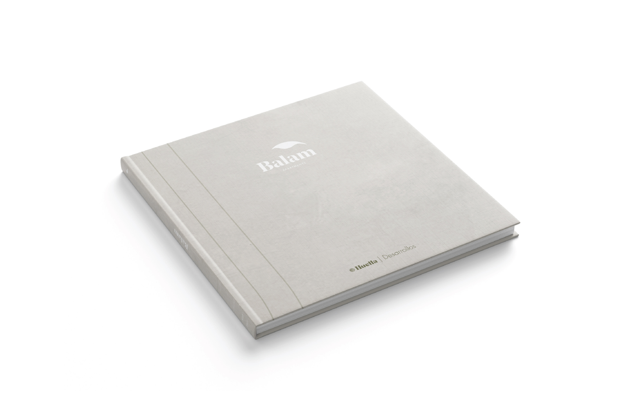 Francia Serrano Studio Portafolio Levy Holding Memoir