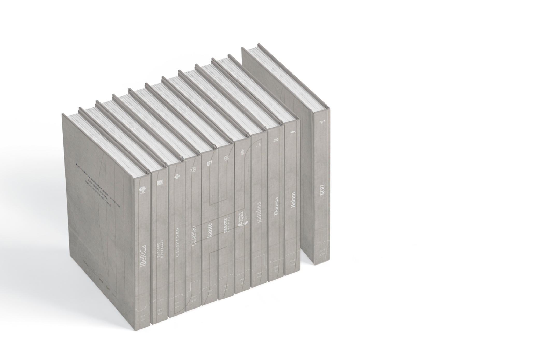 Francia Serrano Studio Portafolio Levy Holding Memoir