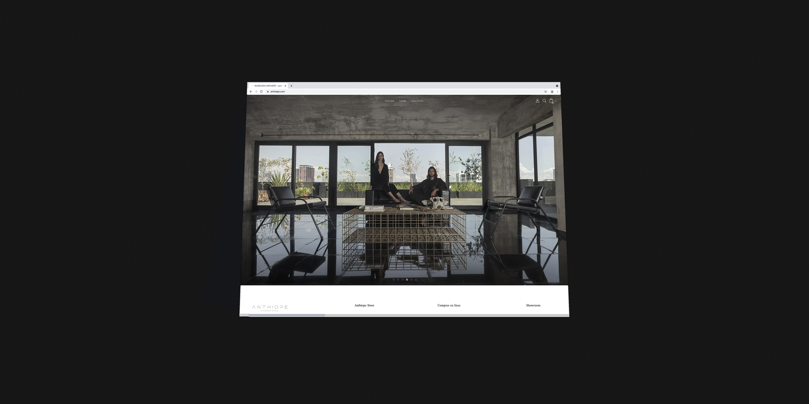 Francia Serrano Studio Portafolio Web Anthiope