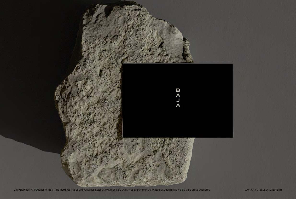Francia Serrano Studio Portafolio BAJA ESTUDIO