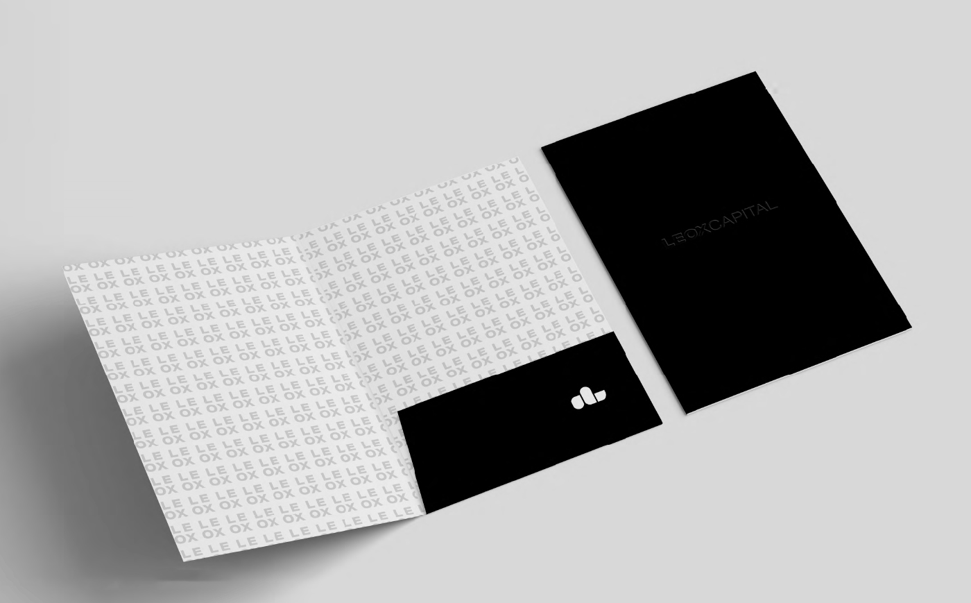 Francia Serrano Studio Portafolio LEOX